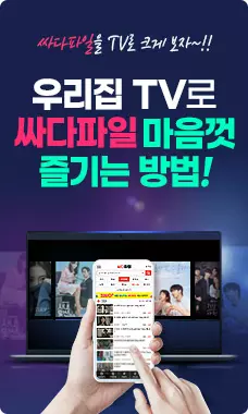 싸다파일을 TV로 크게 보자