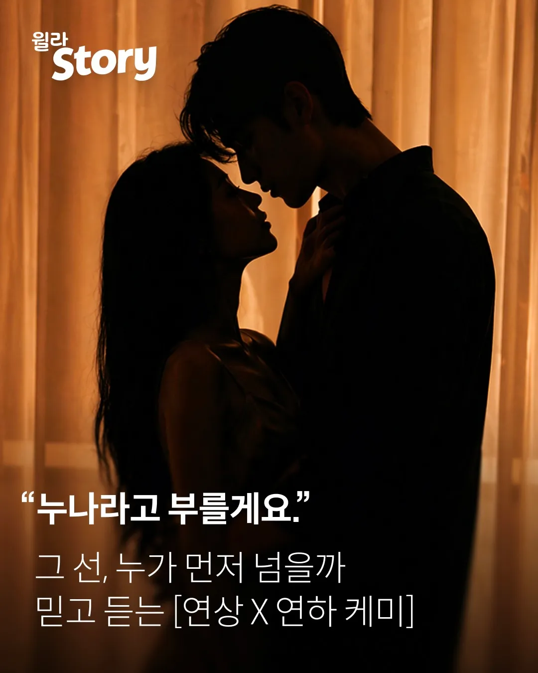 윌라스토리 10 윌라스토리 살펴보기 6